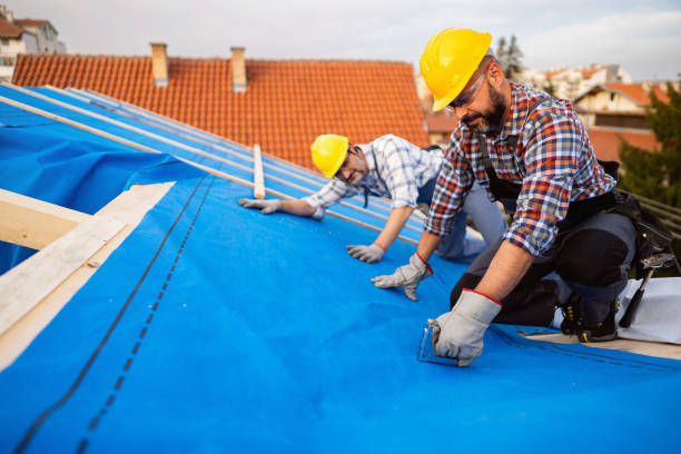 Best Roof Insulation Installation  in Montgomery, TX