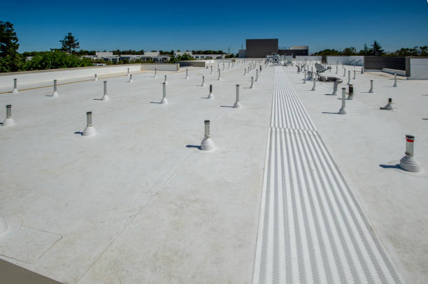 Best Roof Leak Repair  in Montgomery, TX